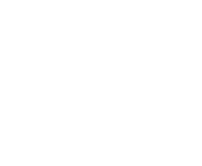 Overseer Logo