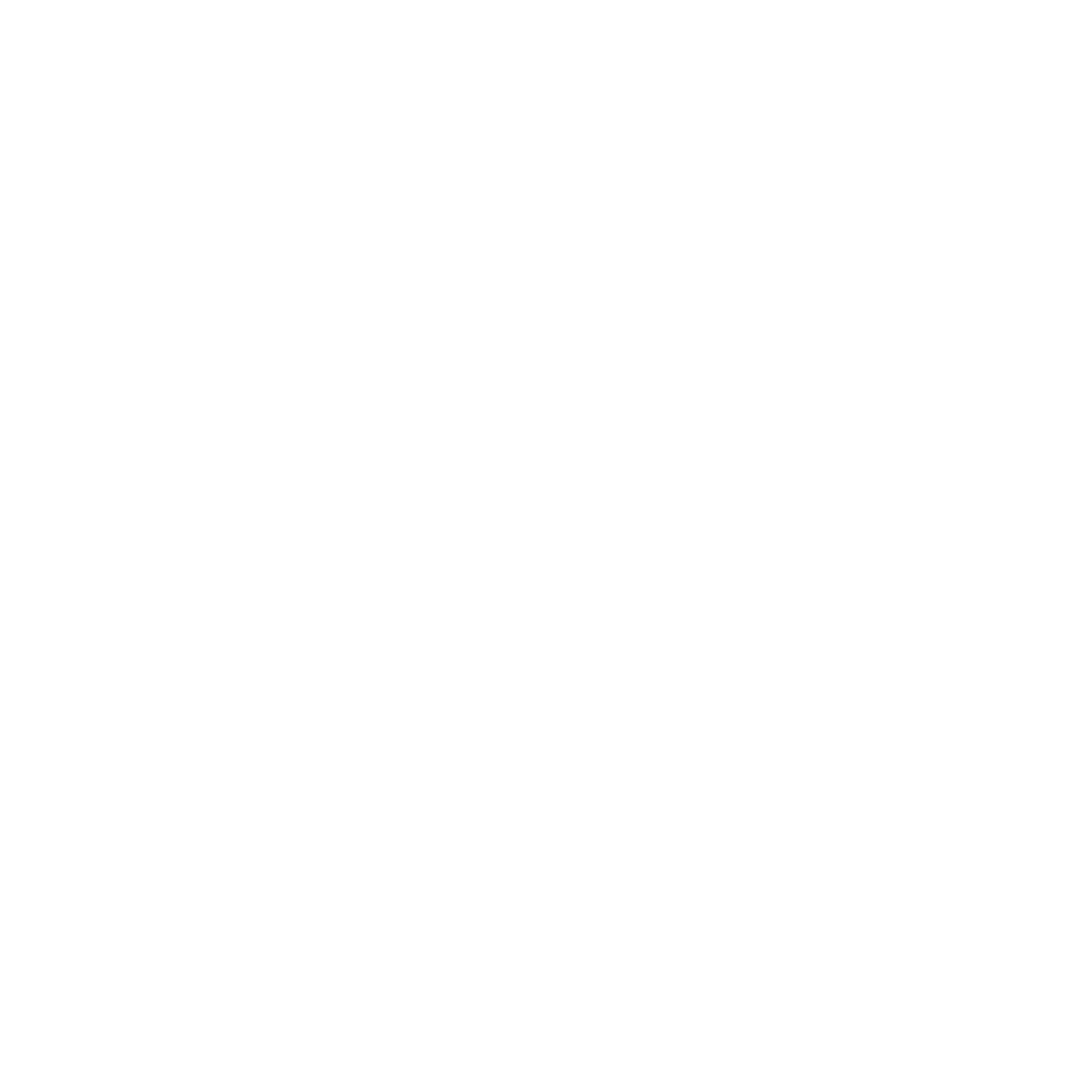 Rapid Logo